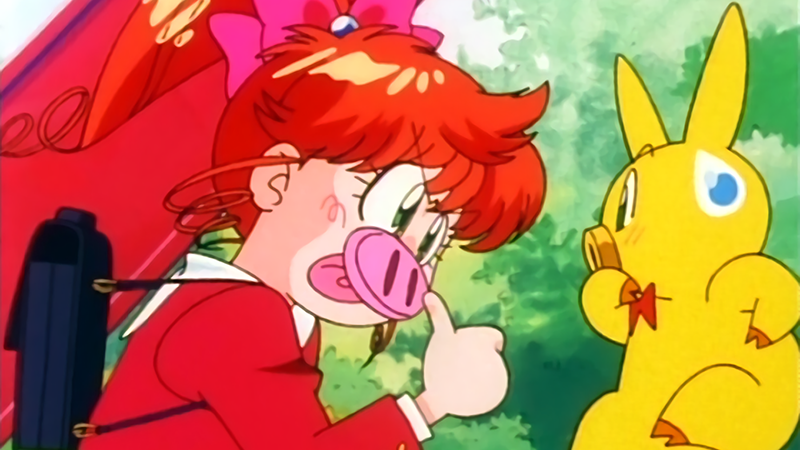 Hiệp sĩ lợn (Tonde Buurin)